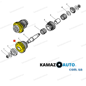 Шестерня постоянного зацепления раздаточной коробки (Z=34) КАМАЗ-4310 / 4310-1802088. Photo3